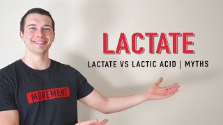 Lactate vs Lactic Acid Explained  Muscle Physiology [upl. by Gene534]