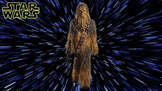 Star Wars  Chewbacca Sound Effect [upl. by Ylimme]