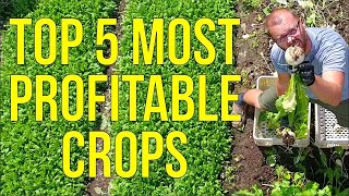 Unlock the Secret to Maximum Profits The Top 5 Most Lucrative Crops for Market Gardeners Revealed [upl. by Whyte]