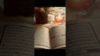 Holy quran islamicallahnaat [upl. by Rother]