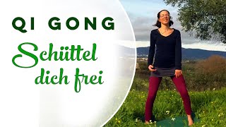 Qi Gong Schüttel dich frei  effektive Übung für den Vagusnerv [upl. by Tomlinson]