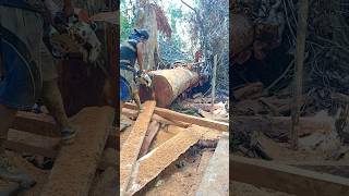 Kayu Merbau woodworking [upl. by Orlosky258]