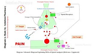 Opioid Analgesic Mechanism of Action  Mechanism of Action of Opioid Analgesic  Opioid Analgesics [upl. by Ayatal]