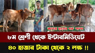 ৮ম শ্রেণী থেকে ইন্টারমিডিয়েট৪০ হাজার টাকার গরু থেকে ২ লক্ষ টাকা  Goru Palon  Nibir Krishi [upl. by Holofernes]