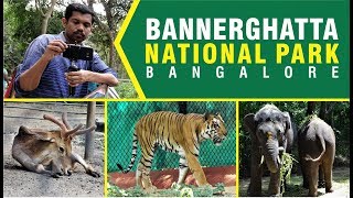 A day in Bannerghatta National Park Bangalore [upl. by Rakia]