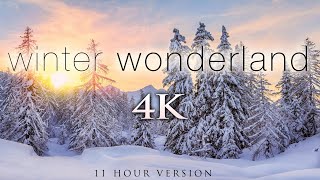 4K 11 Hours of Winter Wonderland  Calming Hang Drum Music for Relaxation Stress Relief UHD [upl. by Amir710]