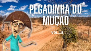 Pegadinhas do Mução  As Mais Antigas I Vol18 [upl. by Derick940]