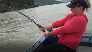 Summer Sturgeon Fishing on The Fraser River with Bent Rods [upl. by Anoek]