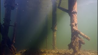 Recreational diving in Plön Lake Germany  February 2018 [upl. by Blondy]