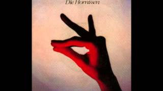 Die Hornissen  Pale Blue Eyes The Velvet Underground Cover [upl. by Oniskey293]