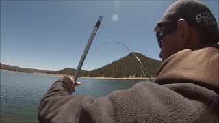 Quemado Lake New Mexico fly fishing with PooP Syde [upl. by Goeselt329]