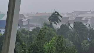 Shower rain Phuket town [upl. by Zerla]