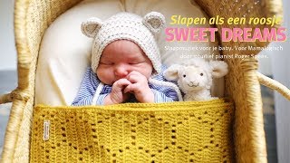 Slapen als een roosje Sweet Dreams baby slaapmuziek [upl. by Notniw753]