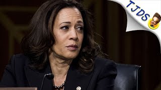 Why Cant Progressives Question Kamala Harris [upl. by Anawaj749]