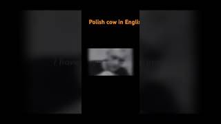 Polish cow in English [upl. by Euell]