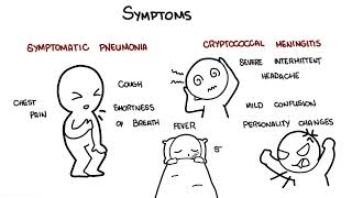 Cryptococcus neoformans infection  symptoms pathophysiology diagnosis treatment [upl. by Eeryk]