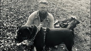 Street Musician Derrick and his dog Tanner [upl. by Teresita140]