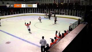 Highlights vs Bees 3 11 13 [upl. by Asirrac]