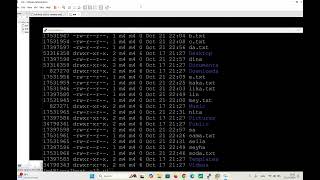 linux command line part 2 [upl. by Gere800]