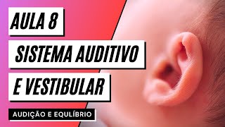 Videoaula 8 Sistema auditivo e vestibular  AUDIÇÃO E EQUILÍBRIO [upl. by Siger]