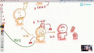 Inhaled Corticosteroids Budesonide [upl. by Ng]