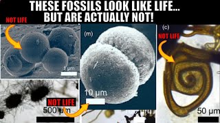 False Biosignatures and Fossils That Look Like Life  New Study [upl. by Litnahs60]