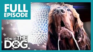 The Dog With OCD Max  Full Episode  Its Me or The Dog [upl. by Ydak]