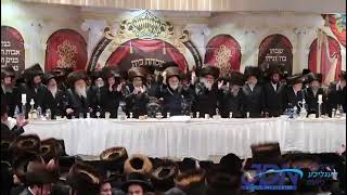 Viznitz Yerushalayim  Chernovitz Wedding Cheshvan 5784 [upl. by Gerge]