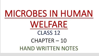 CLASS 12  BIOLOGY  CHAPTER 10  MICROBES IN HUMAN WELFARE  HAND WRITTEN NOTES  PART  2 [upl. by Gaal]