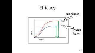 Efficacy vs potency [upl. by Elisa]