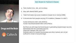 4 5 36 Parkinsons disease Pathophysiology non human models 1637 [upl. by Douville]