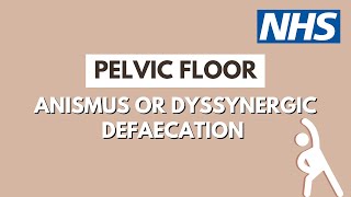 Anismus or Dyssynergic Defaecation  Leicester Pelvic Floor Service  UHL NHS Trust [upl. by Nunes]