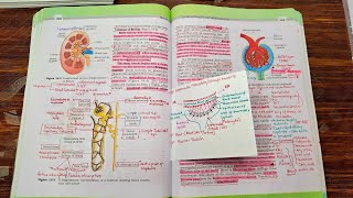 Excretory products and their elimination CLASS 11th NCERT biology for NEET PhysicsWallah [upl. by Nnylrebma]