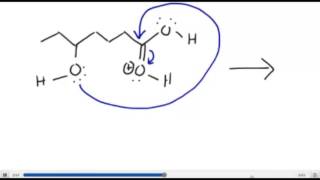 Intramolecular Esterification Lactone [upl. by Gneh466]