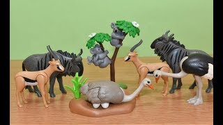 Playmobil Wild Life Animals Safari Toy Animal Toys Jungle Koala Ostrich Gazelle [upl. by Aundrea]