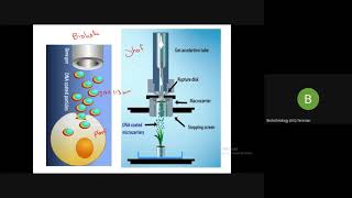 biolistic protoplast fusion electroporation microinjection [upl. by Ardnaid814]