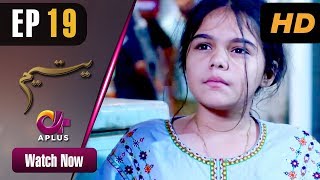 Yateem  EP 19  Aplus Sana Fakhar Noman Masood Maira Khan  Pakistani Drama  C2V1 [upl. by Padegs]