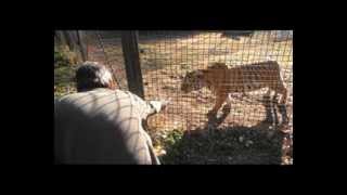 entrenamiento de animales en zoológicos  animal training in zoos [upl. by Yessak]