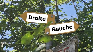 Suisje de droite ou de gauche [upl. by Sisile]