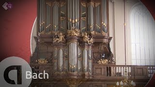 Bach Cantate BWV 4 amp BWV 80  Gesualdo Consort  Musica Amphion  Live Concert HD [upl. by Esalb603]