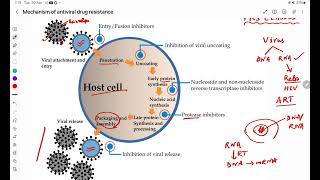 Mechanism of antiviral drug resistance [upl. by Dukey]