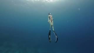 Dive into Paradise Bunaken Freediving Experience with Manado Adventure Diving Center [upl. by Hogen270]