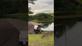 PEACEFUL CAMP BY THE LAKE camping lake lakeview vidalido [upl. by Eedia24]