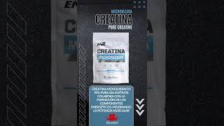 CREATINA MICRONIZADA 300 gr ENA Sport [upl. by Sands]