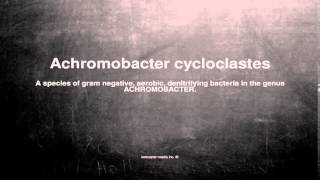 Medical vocabulary What does Achromobacter cycloclastes mean [upl. by Nemraciram121]