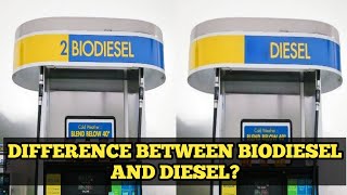 Difference between biodiesel and diesel [upl. by Ibrek267]