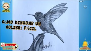 🐦DIBUJOS A LÁPIZ  CÓMO DIBUJAR UN COLIBRÍ A LÁPIZ PASO A PASO  Cómo dibujar un Colibrí muy fácil [upl. by Wyndham451]