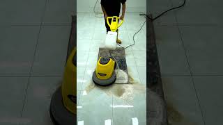 Testing Famous Carpet Cleaning Tips – Do They Really Workquot [upl. by Brana]