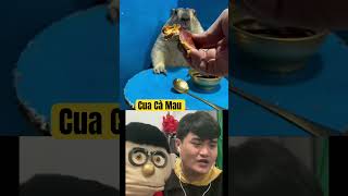 Capybara Mukbang Cua Cà Mau funny capybara vuinhon [upl. by Tnayrb]