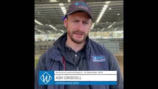 18 September AWN Livestock amp Property Wimmera Market Report with Ash Driscoll – Livestock Sales Agen [upl. by Lowry818]